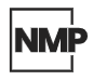 No More Pixels LTD logo