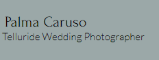 Palma Caruso logo
