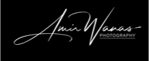 Amir Wanas logo